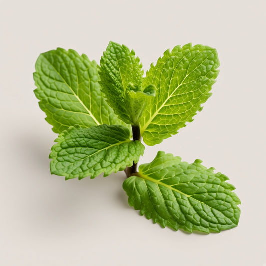 Mint Paste